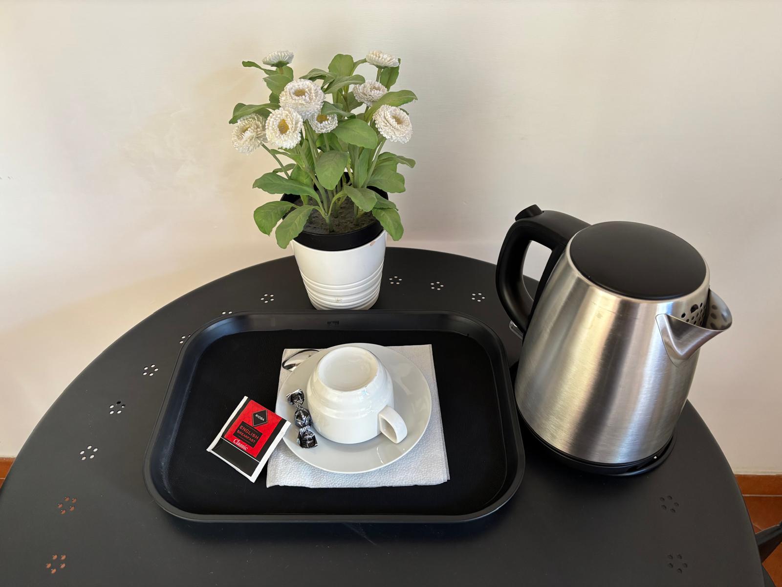 Tea/coffee hot water electric kettle